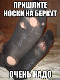 пришлите носки на беркут очень надо