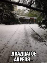  двадцатое апреля...