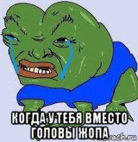  когда у тебя вместо головы жопа