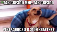 так свезло мне, так свезло утвердился я в этой квартире