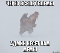 через все проблемы админ несет вам мемы