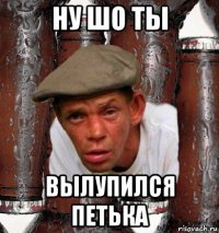 ну шо ты вылупился петька