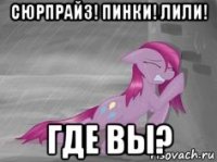 сюрпрайз! пинки! лили! где вы?