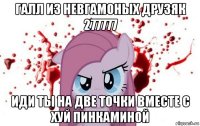 галл из невгамоных друзяк 277777 иди ты на две точки вместе с хуй пинкаминой
