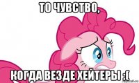 то чувство, когда везде хейтеры :(
