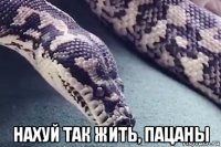  нахуй так жить, пацаны