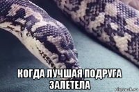  когда лучшая подруга залетела