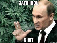 заткнись скот