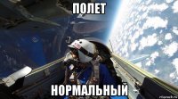 полет нормальный