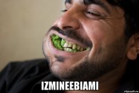  izmineebiami