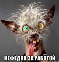  нефёдов за работой