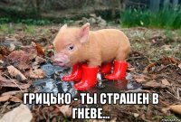  грицько - ты страшен в гневе...