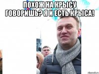похож на крысу говоришь? я и есть крыса! 