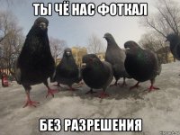 ты чё нас фоткал без разрешения