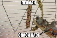 лейман спаси нас!