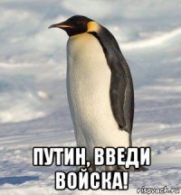  путин, введи войска!
