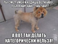 ты смел, умен и ходишь величаво… тебя я нарекаю – чау-чау! а вот так делать категорически нельзя!