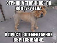 стрижка "торчков" по контуру тела и просто элементарное вычесывание.