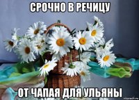 срочно в речицу от чапая для ульяны