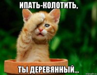 ипать-колотить, ты деревянный...