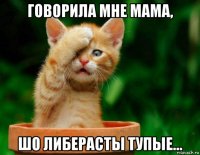 говорила мне мама, шо либерасты тупые...