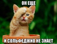 он еще и сольфеджио не знает