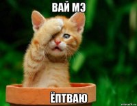 вай мэ ёптваю