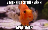 у меня от этой хуйни брат умер