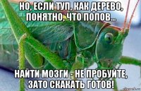 но, если туп, как дерево, понятно, что попов... найти мозги - не пробуйте, зато скакать готов!
