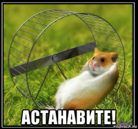  астанавите!