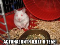  астана! витя идёт к тебе!