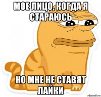 мое лицо, когда я стараюсь но мне не ставят лайки