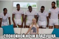  спокойной ночи владушка