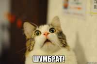 шумбрат!