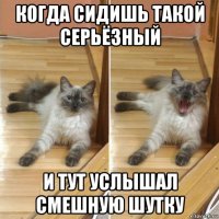 когда сидишь такой серьёзный и тут услышал смешную шутку