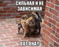 сильная и не зависимая вот она!!