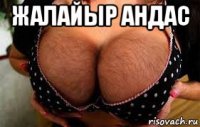 жалайыр андас 