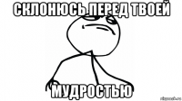 склонюсь перед твоей мудростью