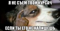я не съем твой курсач если ты его не напишешь
