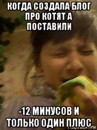 когда создала блог про котят а поставили -12 минусов и только один плюс