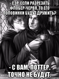 - сэр, если разрезать флобер-червя, то его половинки будут дружить? - с вам, поттер, точно не будут.
