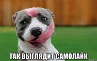  так выглядит самолайк