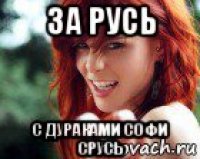 за русь с дураками софи срусь