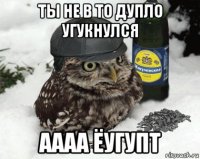 ты не в то дупло угукнулся аааа ёугупт