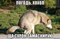 погодь, хохол ща схрон замаскирую