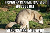 я срал на старые туалеты до 2000 лет мерс, камри, бмв, ауди