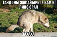 гандоны жалайыры я вам в лицо срал хахаха