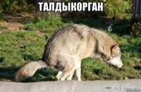 талдыкорган 