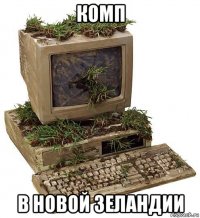 комп в новой зеландии