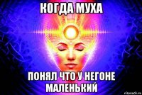 когда муха понял что у негоне маленький
